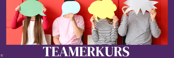 Teamerkurs
